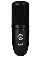 AKG P120