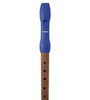 B95832 WOOD/PLASTIC BLUE, GERMAN