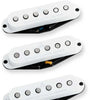 ZSL1S ZEPHYR SILVER STRAT SET WHT