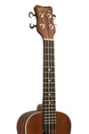 AK-CAE UKULELE CONCERTO IN MOGANO CON PICKUP PASSIVO.