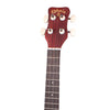 AK-TAE UKULELE TENORE CON PICKUP PASSIVO.