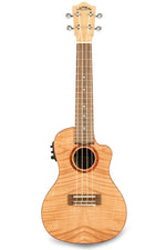 FM-CEC UKULELE CONCERTO FLAME MAPLE CON PREAMP