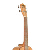 FM-T - UKULELE TENORE FLAME MAPLE