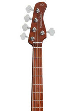 P5 ALDER-5 (2ND GEN) TS TOBACCO SUNBURST