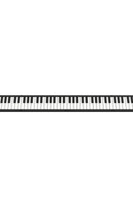 CARRY ON PIANO 88 TOUCH BLACK