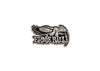 4028 Eagle All Silver Enamel Pin